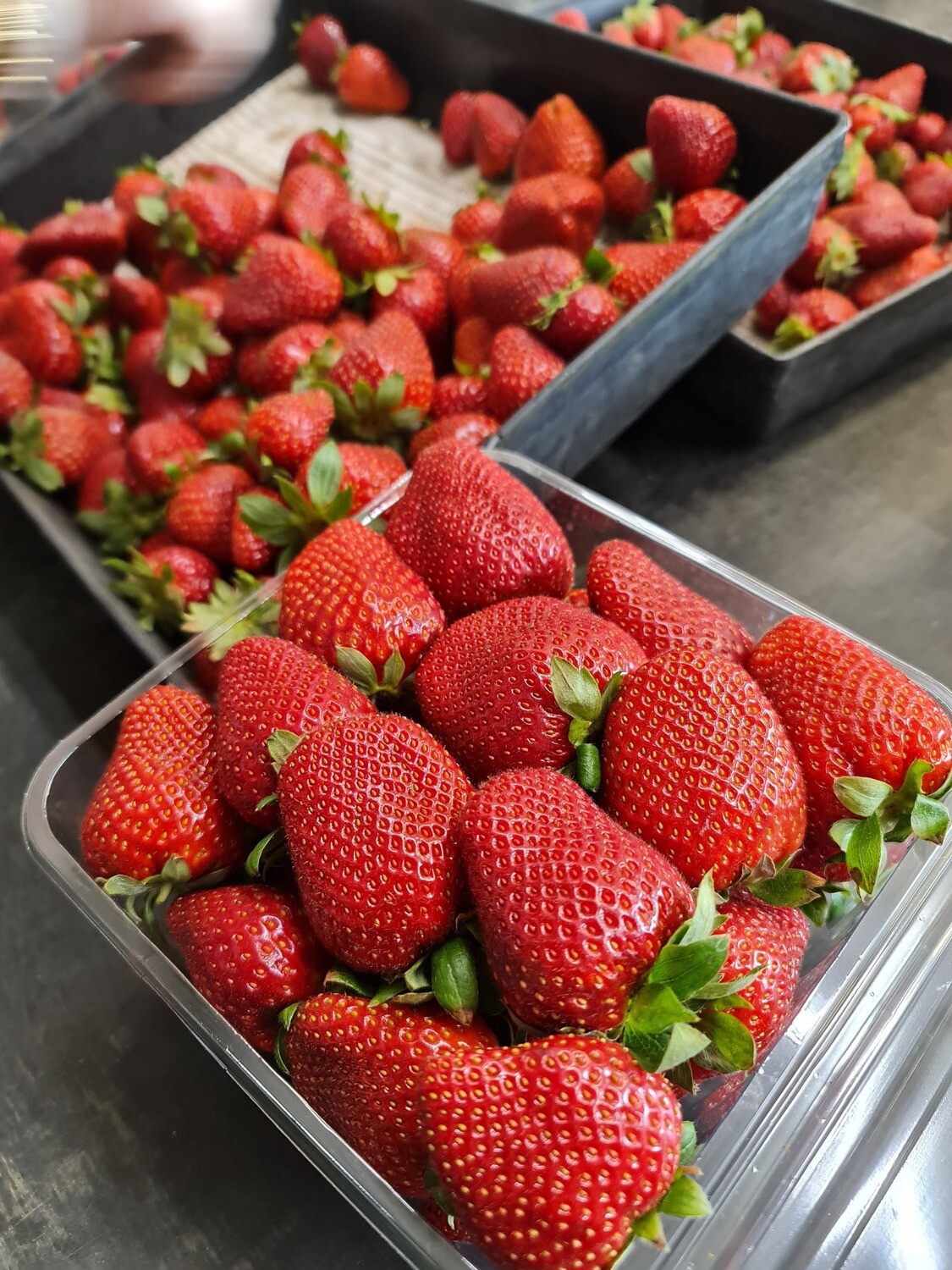 1kg Punnet Cabrillo