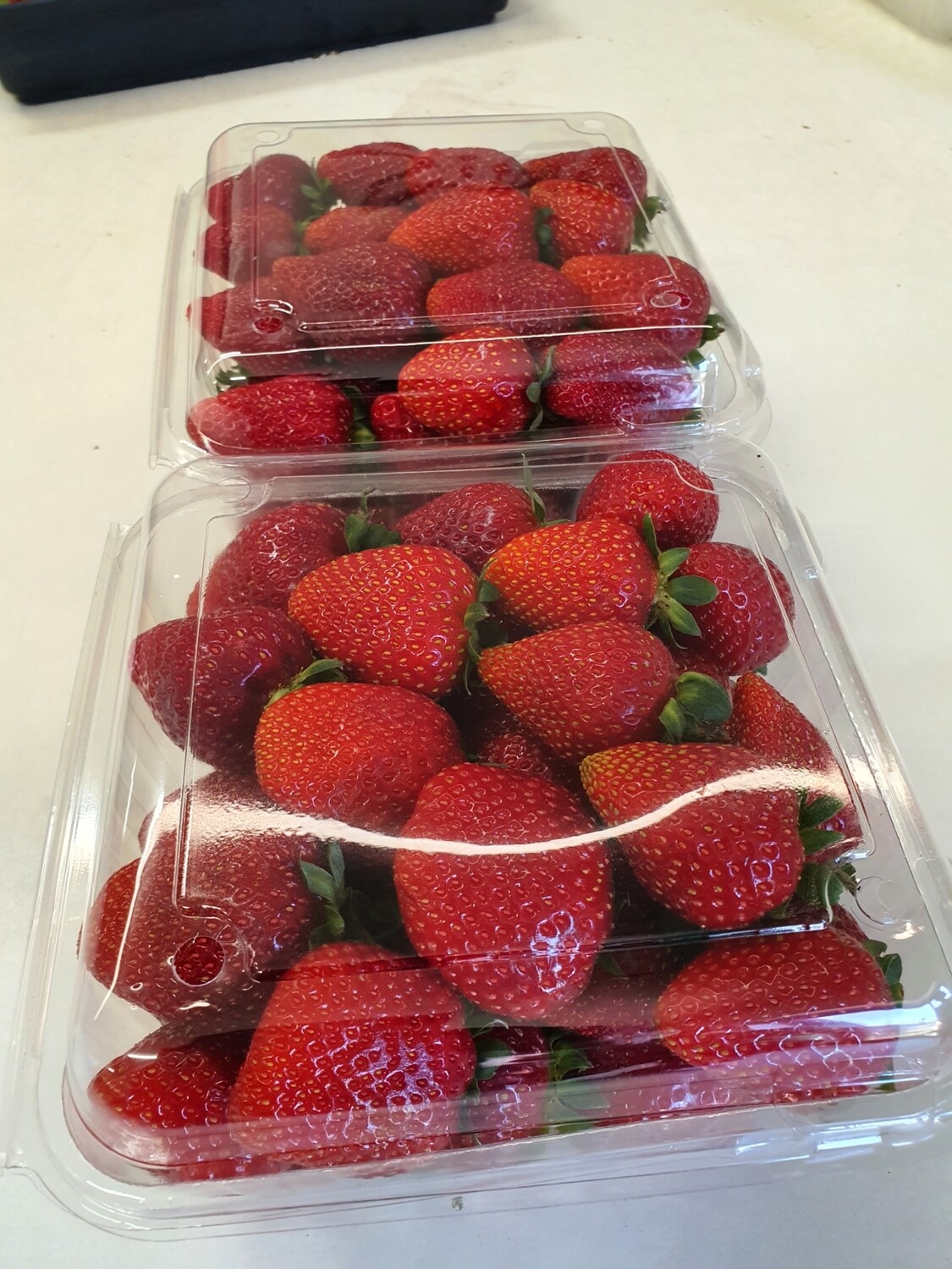 1kg Punnet Adalento SMALL