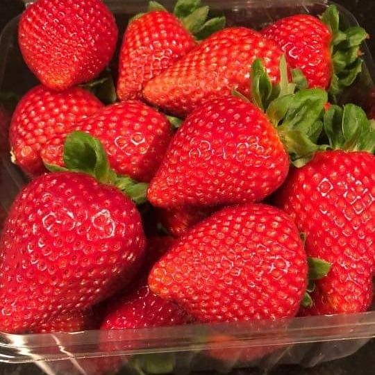1kg New Variety Punnet (Rating: 7.3/10)